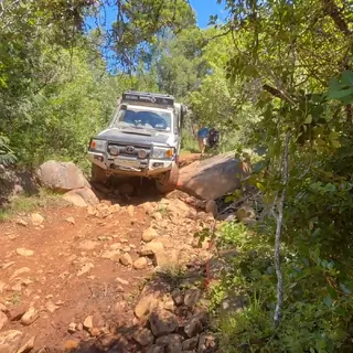 Magical Hogsback