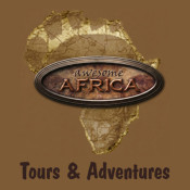 Awesome Africa Logo